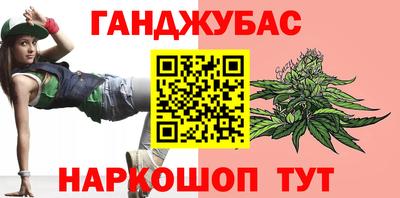 гашик Новодвинск