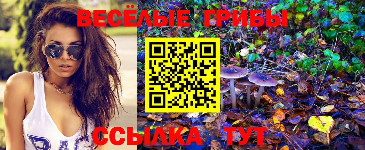 Строитель  Псилоцибиновые грибы GOLDEN TEACHER  Псилоцибиновые грибы прущие грибы  Вход с VPN 